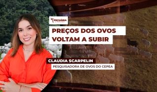 Claudia Scarpelin - Pesquisadora de Ovos do Cepea