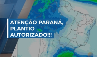 Desirée Brandt - Meteorologista da Nottus