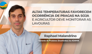 Raphael Malandrino - Gerente de Produtos (Inseticidas) da ADAMA