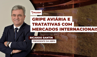 Ricardo Santin - Presidente da ABPA