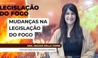 Dra. Helena Della Torre, Advogada Especialista em Direito Ambiental