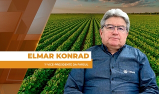 Elmar Konrad - 1° Vice-Presidente da Farsul