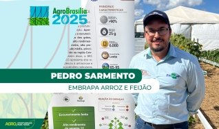 Pedro Sarmento, Analista de transferência tecnológica da Embrapa Arroz e Feijão
