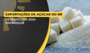 Marcelo Di Bonifacio Filho - Analista em Inteligência de Mercado da StoneX 
