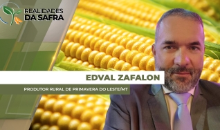 Edval Zafalon - Produtor Rural de Primavera do Leste/MT