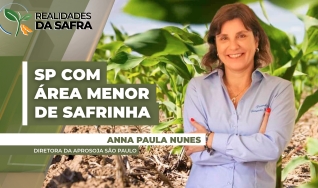 Anna Paula Nunes - Diretora da Aprosoja São Paulo