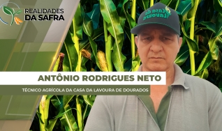 Antônio Rodrigues Neto - Técnico Agrícola da Casa da Lavoura de Dourados
