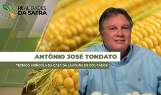 Antônio José Tondato - Produtor Rural - Cândido Mota/SP
