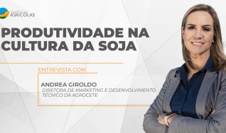 Andrea de Figueiredo Giroldo - Diretora de Marketing e Desenvolvimento Técnico da Agrocete