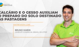 Bruno Marin - Gerente Comercial Brasil da Viter