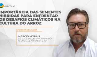 Marcio Morais - Gerente de Desenvolvimento Técnico de Arroz da BASF