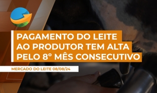 Ana Paula Negri - Pesquisadora Cepea
