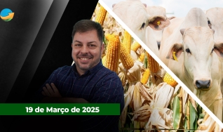 Fechamento de Mercado - Com Aleksander Horta