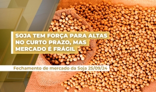 Felipe Jordy - Coordenador de Inteligência e Consultoria da Biond Agro