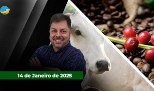 Fechamento de Mercado - Com Aleksander Horta