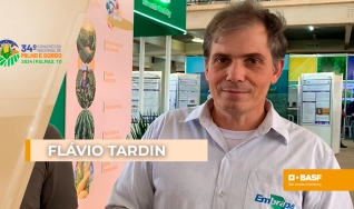 Flávio Tardin - Pesquisador da Embrapa Milho e Sorgo