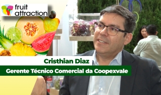Cristhian Diaz
