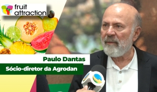 Paulo Dantas