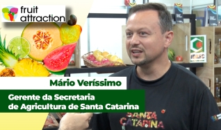 Mário Veríssimo