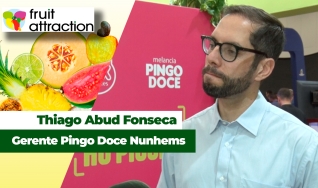 Thiago Abud Fonseca