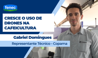 Gabriel Domingues