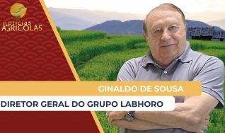 Ginaldo de Sousa