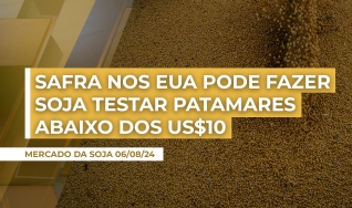 Ronaldo Fernandes - Analista de Mercado Royal Rural