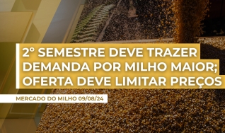 Stefan Podsclan - Consultor de Grãos e Projetos na Agrifatto