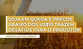 Fernando Pimentel - Diretor da Agrosecurity Consultoria