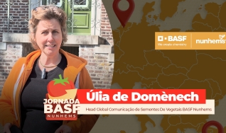 Úlia de Domènech