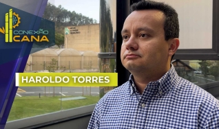 Haroldo Torres - Economista do Pecege