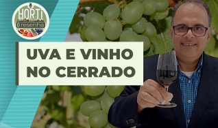 Horti Resenha Podcast - Guilherme Dorigatti