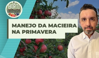 Horti Resenha Podcast - Guilherme Dorigatti