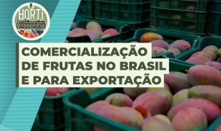 Horti Resenha Podcast - Guilherme Dorigatti