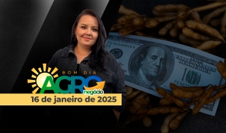 Bom Dia Agro - Com Carla Mendes