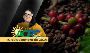 Bom Dia Agro 10/12/2024 - Com Carla Mendes