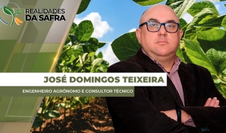 José Domingos Teixeira - Engenheiro Agrônomo e Consultor Técnico