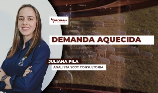 Juliana Pila - Analista Scot Consultoria
