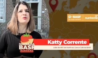 Katty Corrente