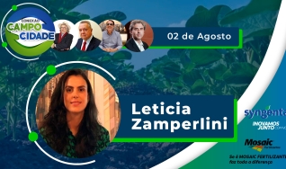 Conexão Campo Cidade -