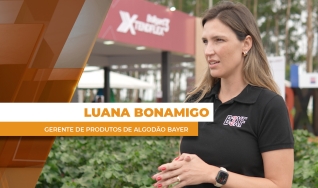 Luana Bonamigo