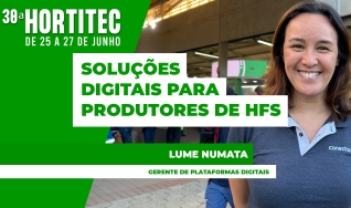 Lume Numata- Gerente de Plataformas Digitais