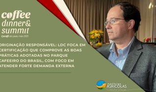 Marcelo Pedro - Diretor executivo da plataforma de café da LDC