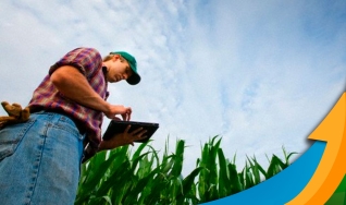 Marco Tulio Habib - Eng. Agrônomo e Sócio Diretor da Simbiagro