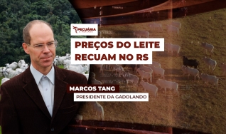 Marcos Tang - Presidente da Gadolando
