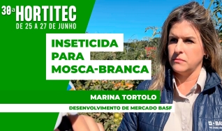 Marina Tortolo, Desenvolvimento de Mercado BASF