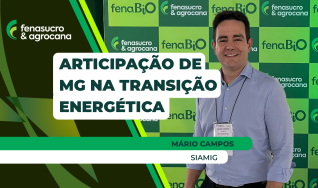 Mário Campos  - Siamig