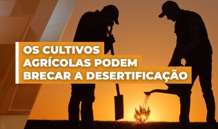 Reportagem de João Batista Olivi
