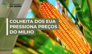 Ruan Sene - Analista de Mercado da Grão Direto