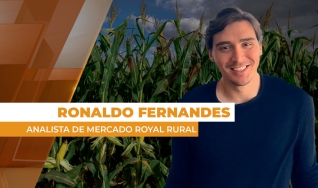 Ronaldo Fernandes - Analista de Mercado Royal Rural